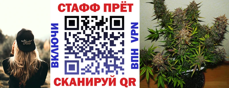 МЕФ Анива