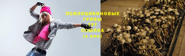 круглые Алексеевка