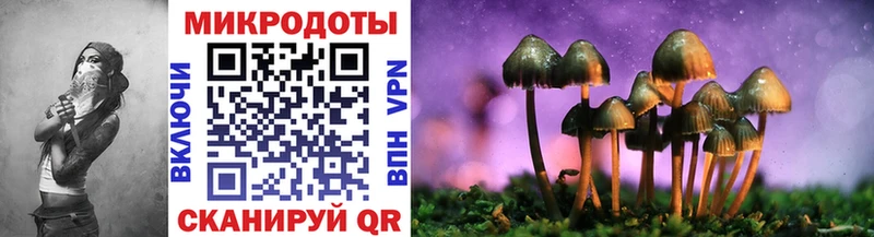 где купить наркоту  Анива  Галлюциногенные грибы MAGIC MUSHROOMS 